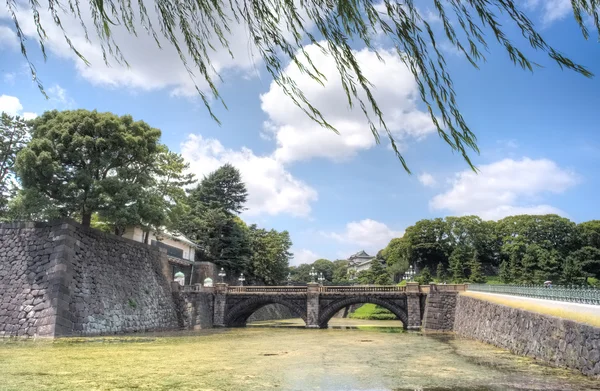 Japanese landscape