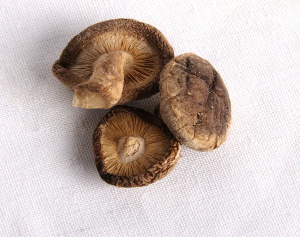 Dried shiitake mushroom Xiangguo a pileus
