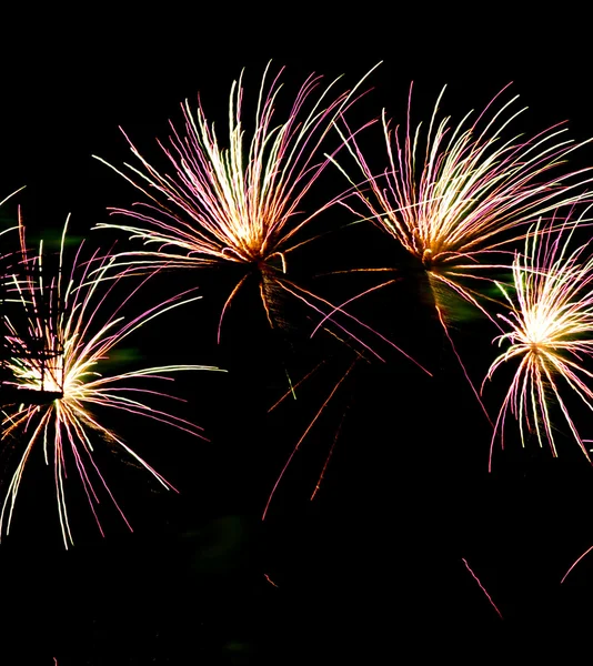 Fireworks Celebration Over Stadium Independence Day July Forth