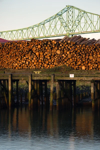 Log Pile Columbia River Pier Wood Export Timber Industry