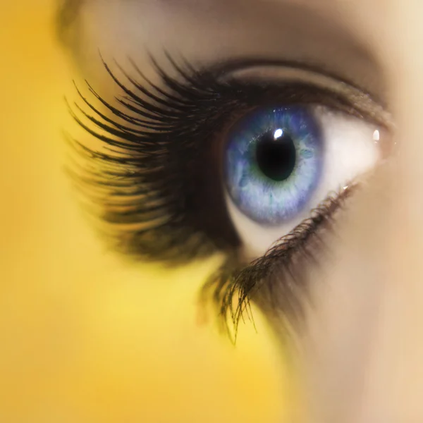 Beautiful woman eye