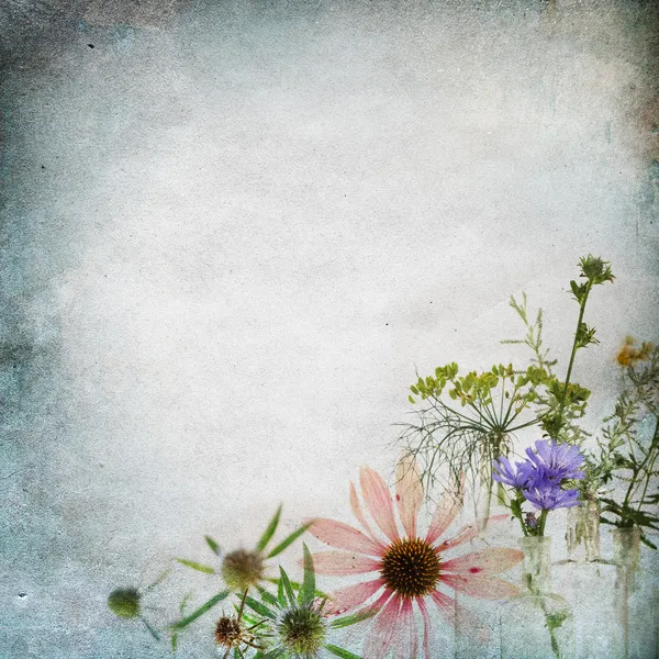 Vintage shabby chic background with medicinal herb