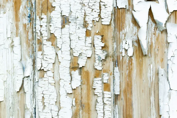 Wooden door with cracked paint