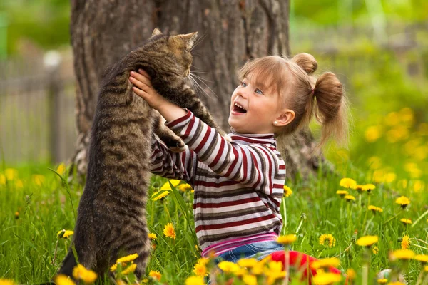 Funny lovely little girl playing with a cat
