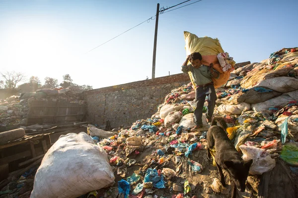 People working in sorting of plastic on the dump