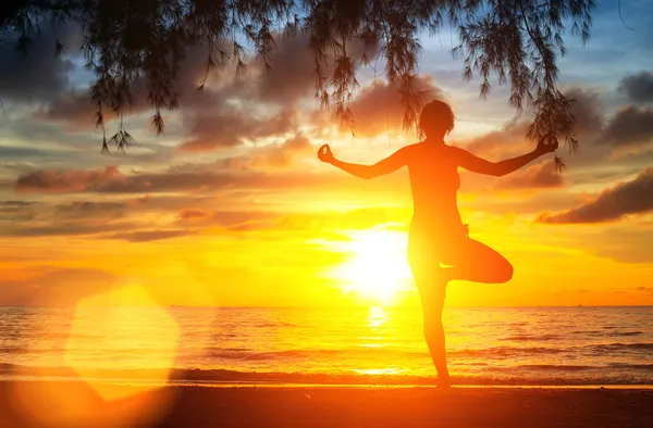 Yoga tree pose by woman silhouette