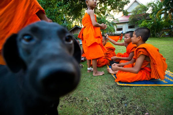 Child spend a monk at a Buddhist monastery Wat Klong Prao