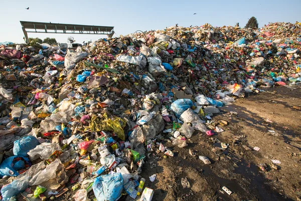 Food and pile of domestic garbage in landfill