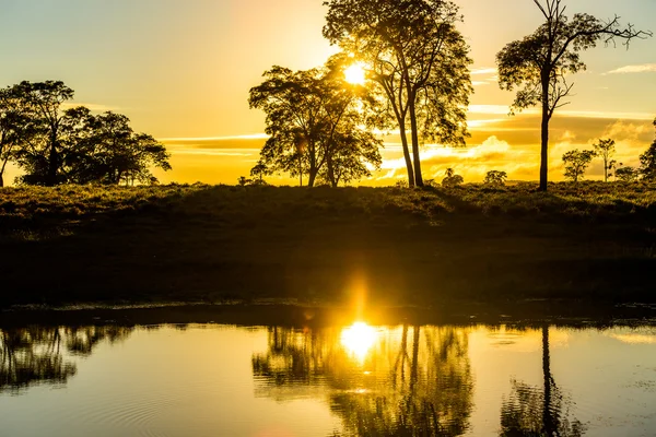 Pantanal wetlands in Brazil