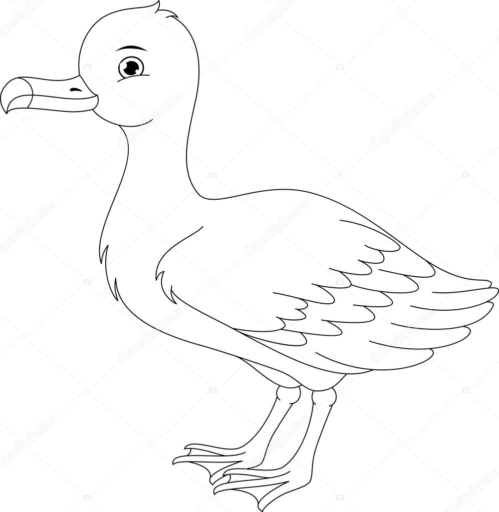 Página para colorear de Albatros — Archivo Imágenes Vectoriales