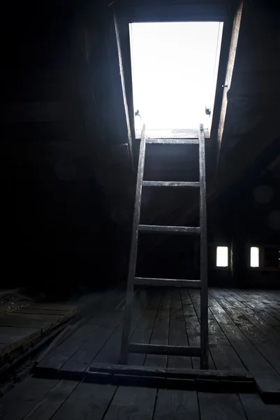 Ladder and roof window in wooden attic