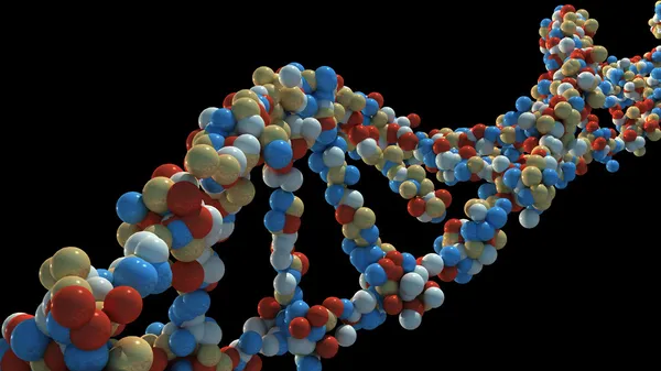 DNA strand 2