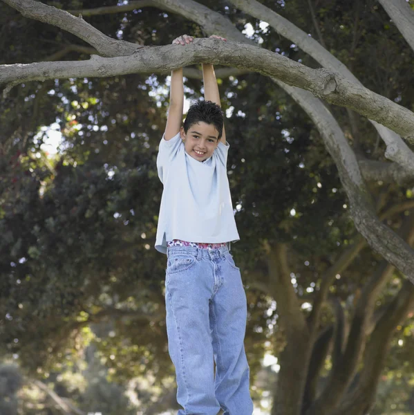 Young boy hanging from a tree branch