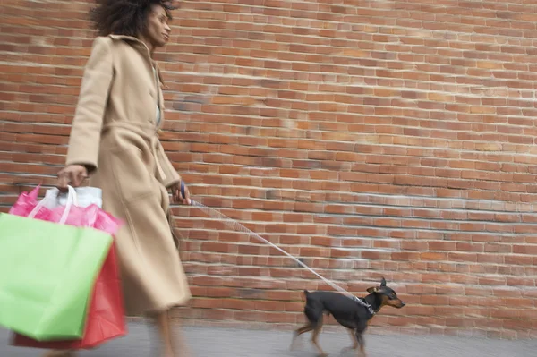 Woman with shopping bags walking dog
