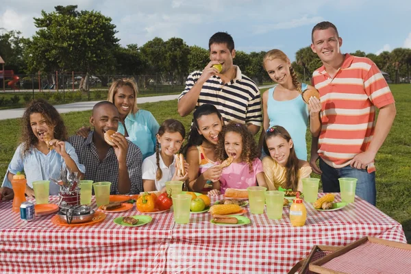 Multi-ethnic friends eating at picnic table