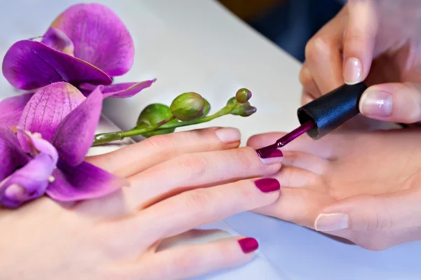 Woman applying nail varnish to finger nails