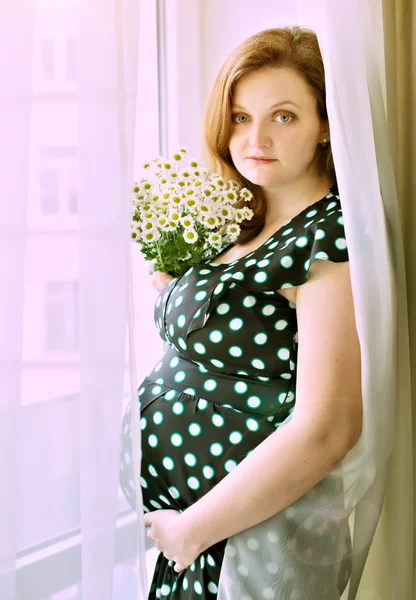 Brunette plus size pregnant woman near window