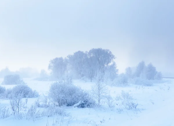 Winter landscape. Cold winter morning