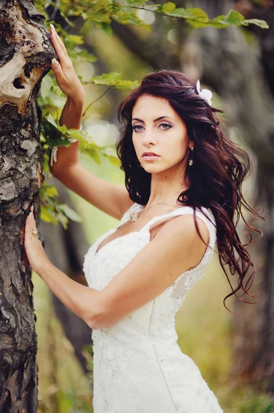 Beautiful bride in forest