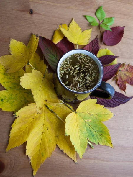 Cup of fennel tea with seeds. Autumnal decoration