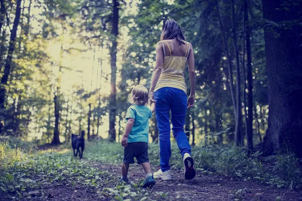 Woman and child walking a dog in the forest