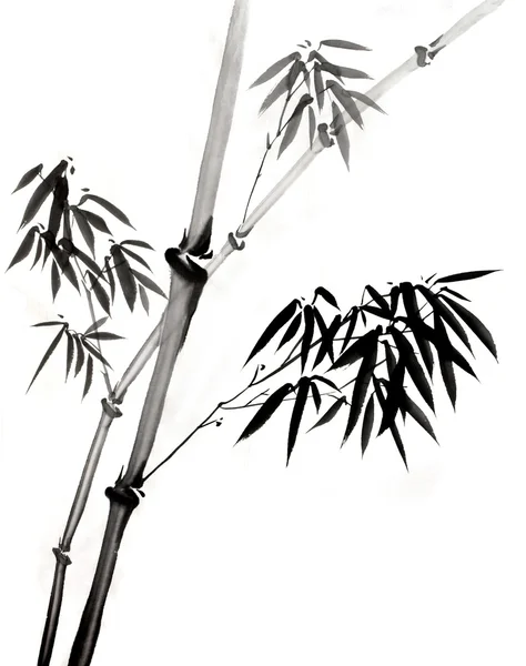 Ink Painting of Bamboo Branch
