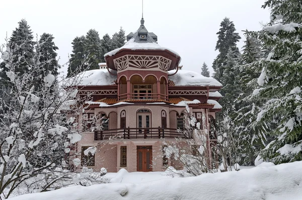 Villa at Borovetz resort in winter