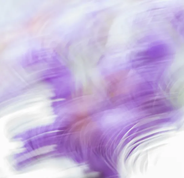 Abstract background in purple and white colors