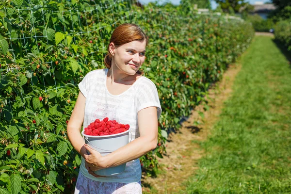 Young woman picking raspberries on pick a berry farm in Germany