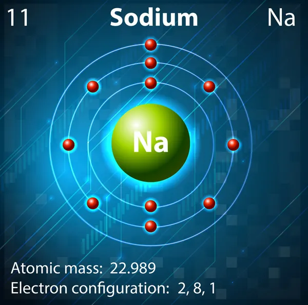 Uproszczony Model Budowy Atomu Sodu Model of an atom of sodium grafika wektorowa | Depositphotos®