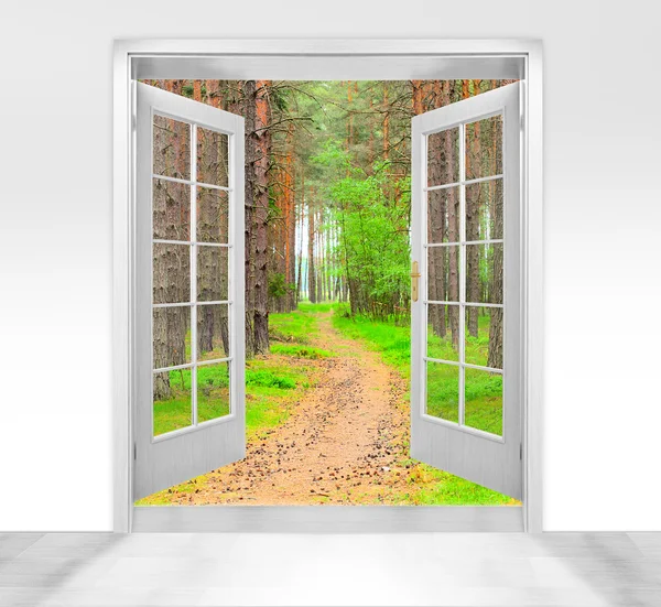 Opened door to beautiful forest - conceptual image - environmental business metaphor.