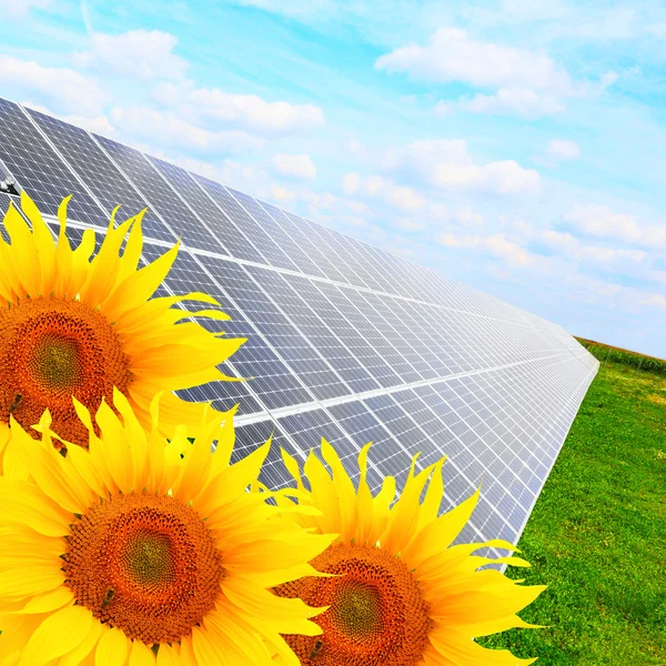 Solar energy panels on a sunflower field