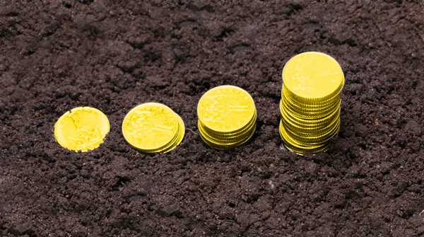 Golden coins growing from soil