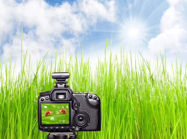 Camera on grass