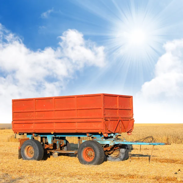 A empty trailer on wheat field against blue sky.