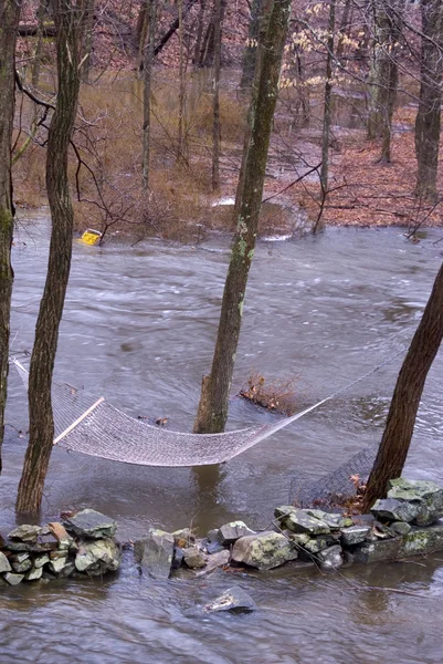 Flooded backyard of suburban house