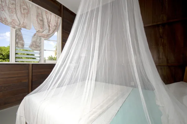 Bedroom with mosquito net in budget guest house bequia