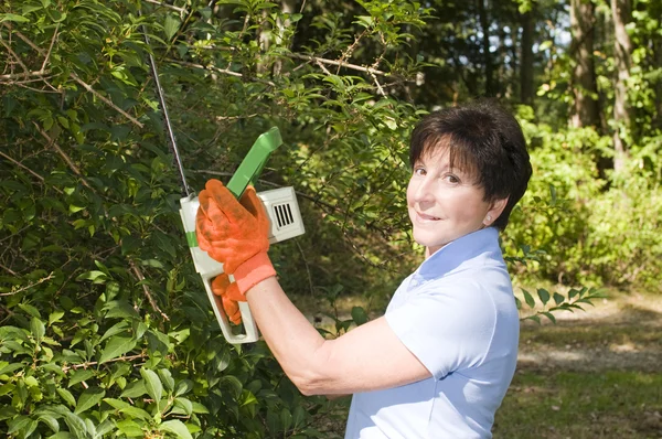 Suburban housewife trimming bushes with hedge trimmer tool