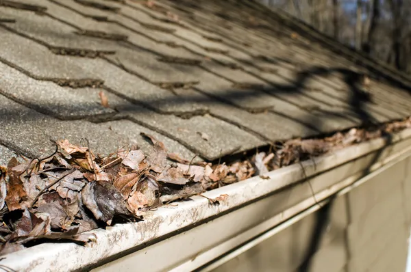 House gutter filled with leaves autumn