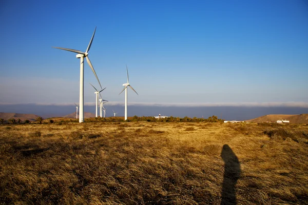 Wind turbines sky in the spain africa