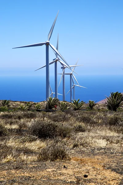 Africa wind turbines the isle of lanzarote spain