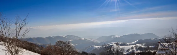 Landscape with sun and snow