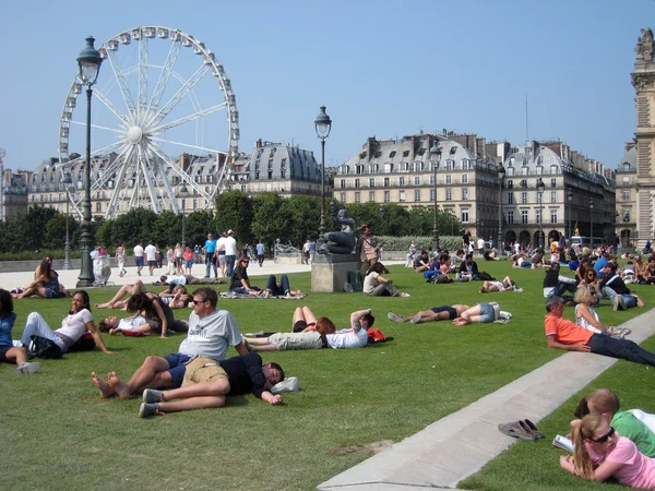 People relaxing in the grass near the Panoramic Ferris wheel and Louvre museum in Paris