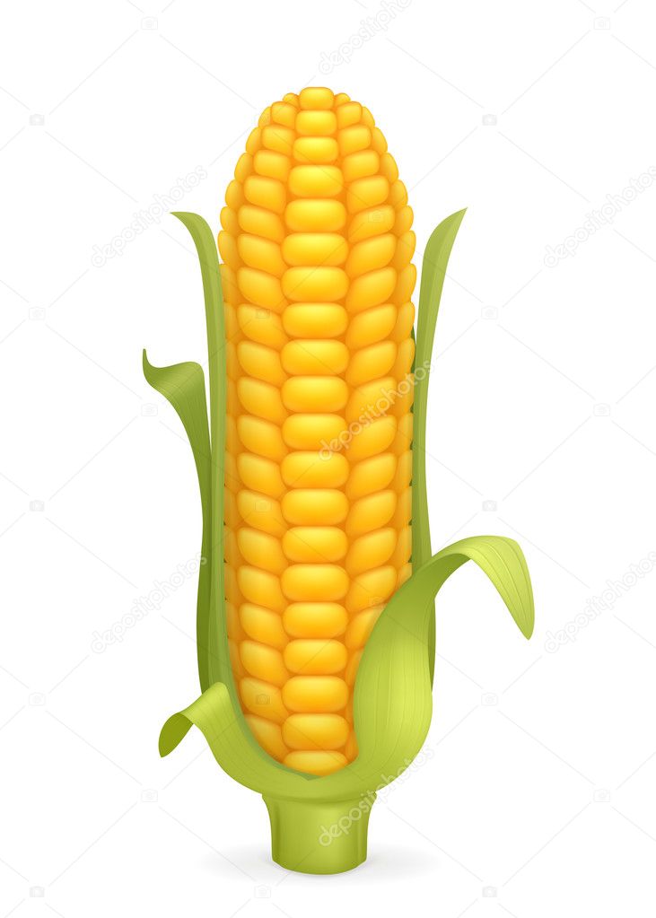 corn cobs Corn cobs, wholesale various high quality corn cobs products from global corn cobs suppliers and corn cobs factory,importer,exporter at alibabacom. corn cobs Corn cobs, wholesale various high quality corn cobs products from global corn cobs suppliers and corn cobs factory,importer,exporter at alibabacom.