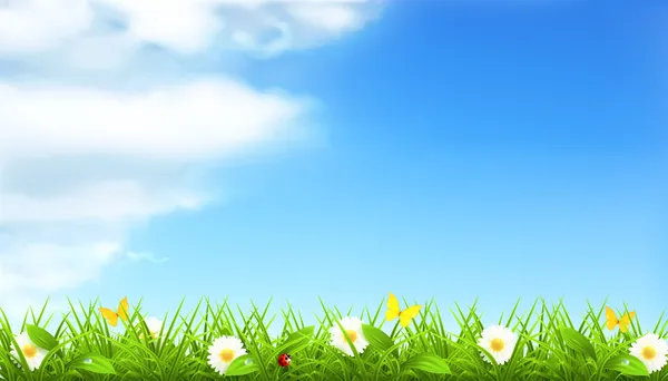 Spring background vector