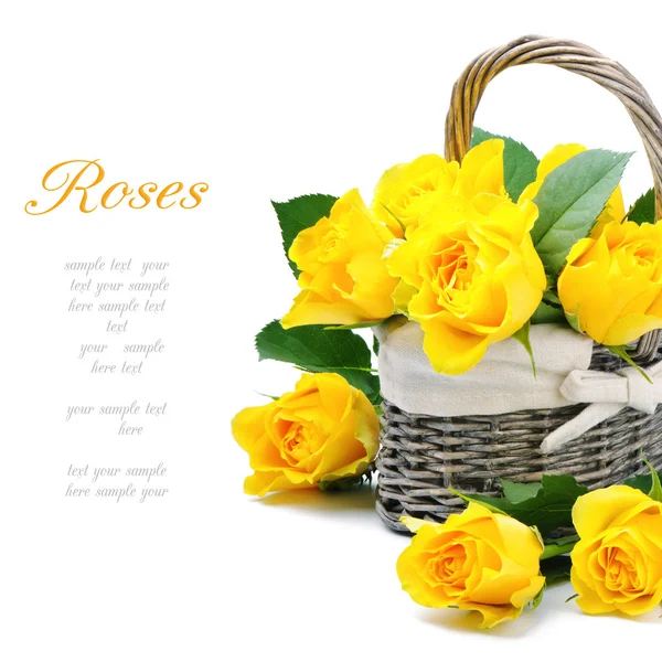 Freshly cut yellow roses in a rustic basket