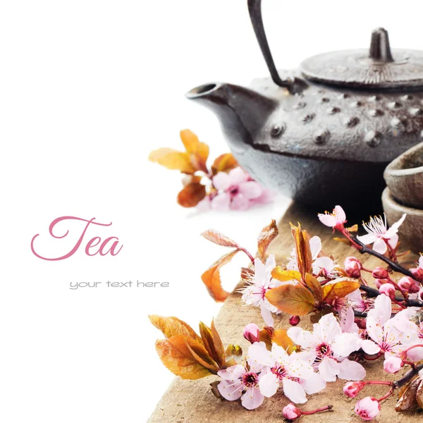 Asian tea pot with cherry blossom