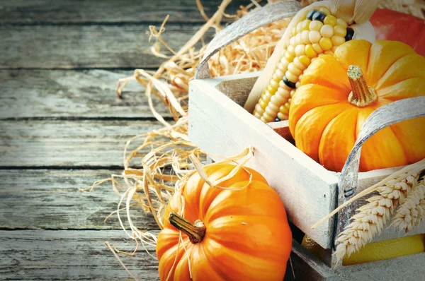 Autumn harvest setting with pumpkins