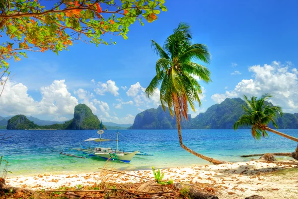 Beautiful tropical scene
