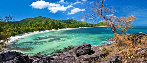 Seychelles islands, panoramic view of praslin\' beach